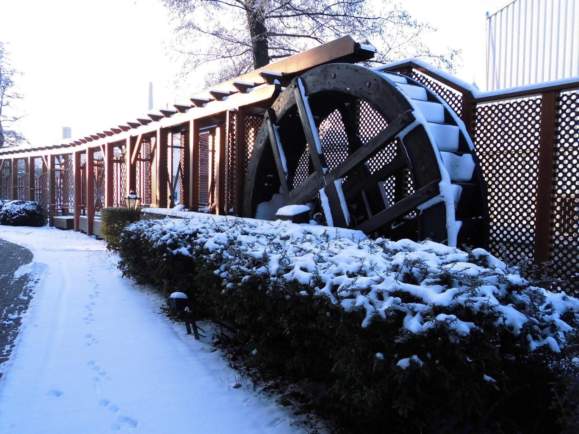 Hotel Spanischer Hof 4*